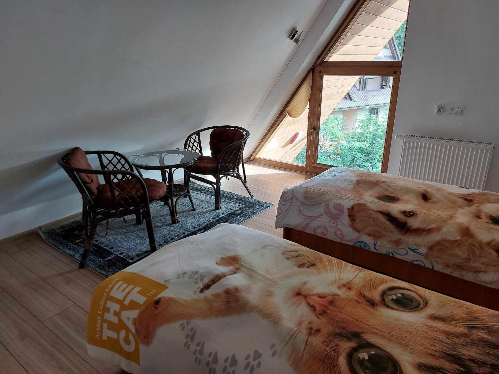 Apartamenty Cede Zakopane Exterior foto